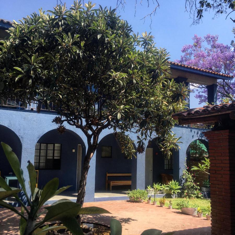 La Betulia Bed And Breakfast Oaxaca Exterior photo